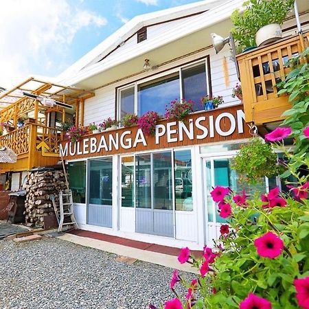 Osakae Anteo Mulraebang-A Pension Yangyang Extérieur photo